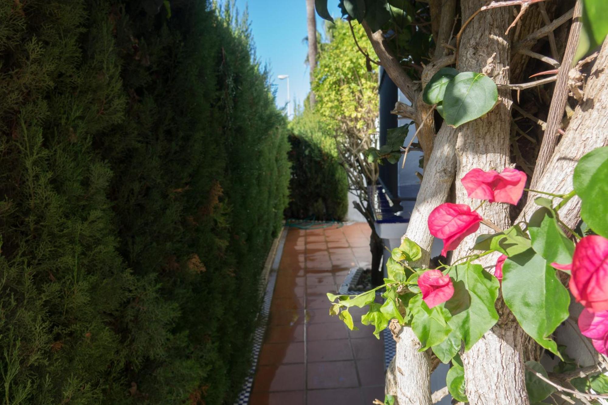 Apartamento Alextia La Barrosa Chiclana de la Frontera Luaran gambar